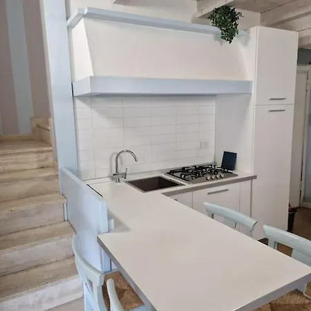 Shabby 123
